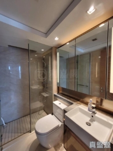 東環 1期 3A座 - 28NTS – 香港北部都會區
