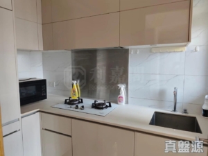 1792434424c045371a-ebf3-4cef-8905-8daee43bad27.jpeg 尚悅 8座 - 28NTS – 香港北部都會區