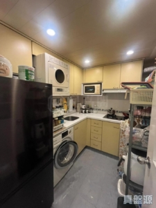 翠濤閣 1座 - 28NTS – 香港北部都會區
