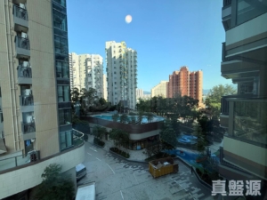黃金海灣 2期 珀岸 1座 (1B) - 28NTS – 香港北部都會區