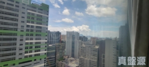 樂悠居 - 28NTS – 香港北部都會區
