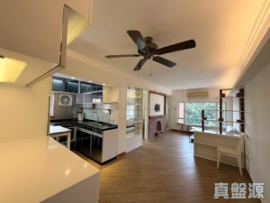 香港黃金海岸 2座 - 28NTS – 香港北部都會區