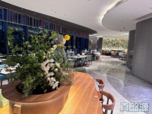 YOHO WEST 2期 YOHO WEST PARKSIDE 1B座 - 28NTS – 香港北部都會區