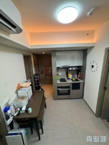 YOHO WEST 1期 3A座 - 28NTS – 香港北部都會區
