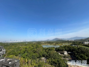 WETLAND SEASONS BAY 3期 6B座 - 28NTS – 香港北部都會區