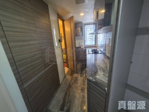 海之戀 3期A 海之戀．愛炫美 3A座 - 28NTS – 香港北部都會區